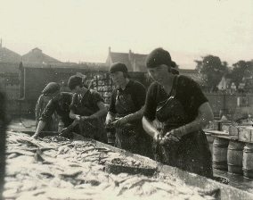 Ch4 p64 - Gutting herring at Denmark Road, Lowestoft 1920s